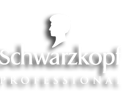 Visitar la web de Schwarzkopf